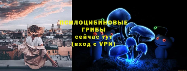 круглые Абаза