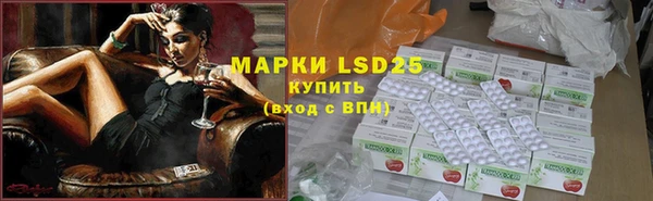 круглые Абаза