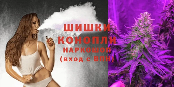прущие грибы Абдулино