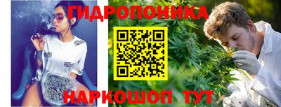 шишки Можайск