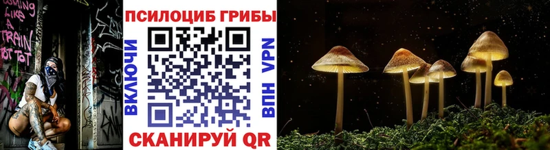купить сайты Карталы Псилоцибиновые грибы прущие грибы