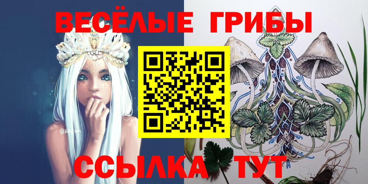 Галлюциногенные грибы мицелий Карталы
